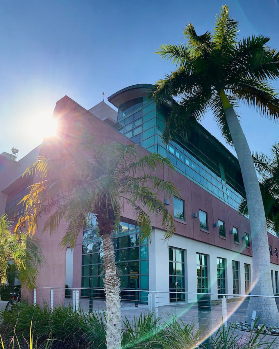 Kick off your week with something positive... like a beautiful view! 🌴☀️ #fgcu