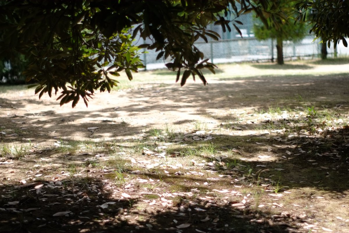 富士フィルムすげえ