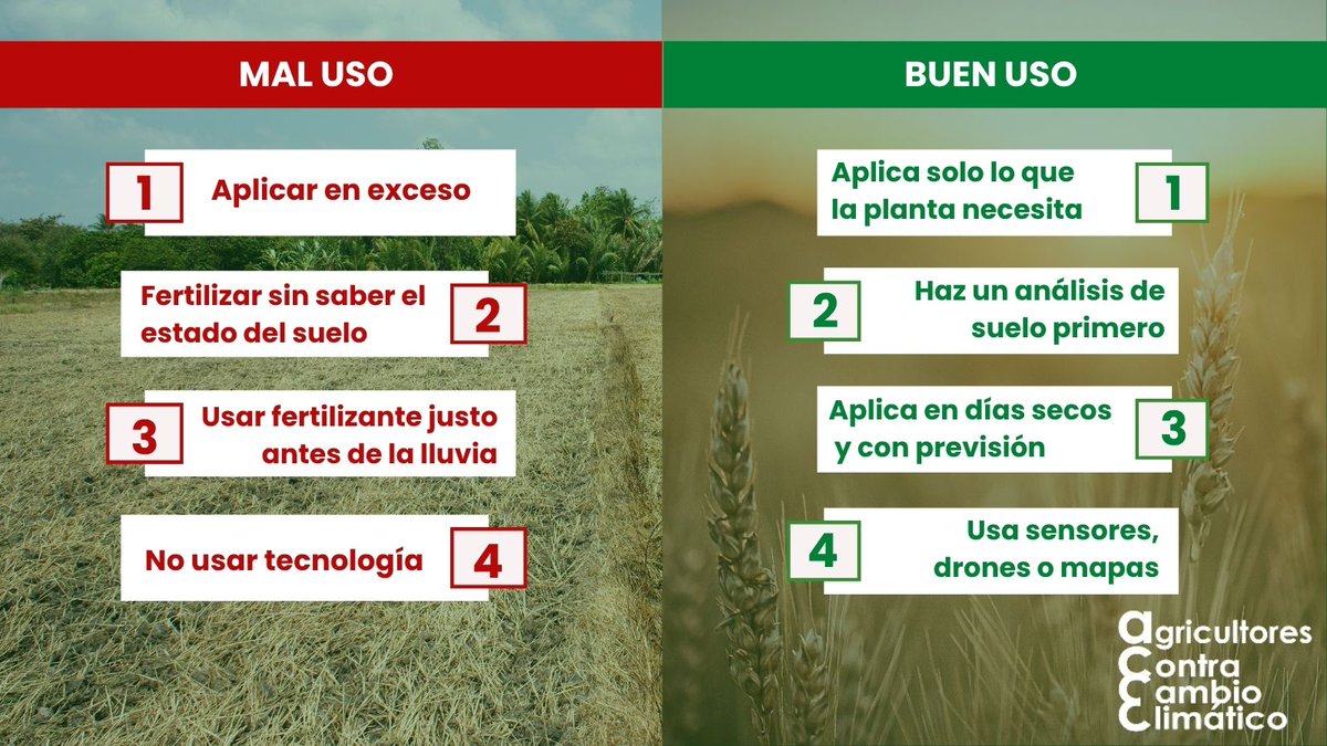 ¿Sabías que....? Un mal uso de fertilizantes puede disparar las emisiones hasta en un 60%? 🌍

 Aquí te dejamos el mal uso que se le da y sus soluciones.

 #AgriculturaSostenible #MenosEmisiones #FertilizantesResponsables