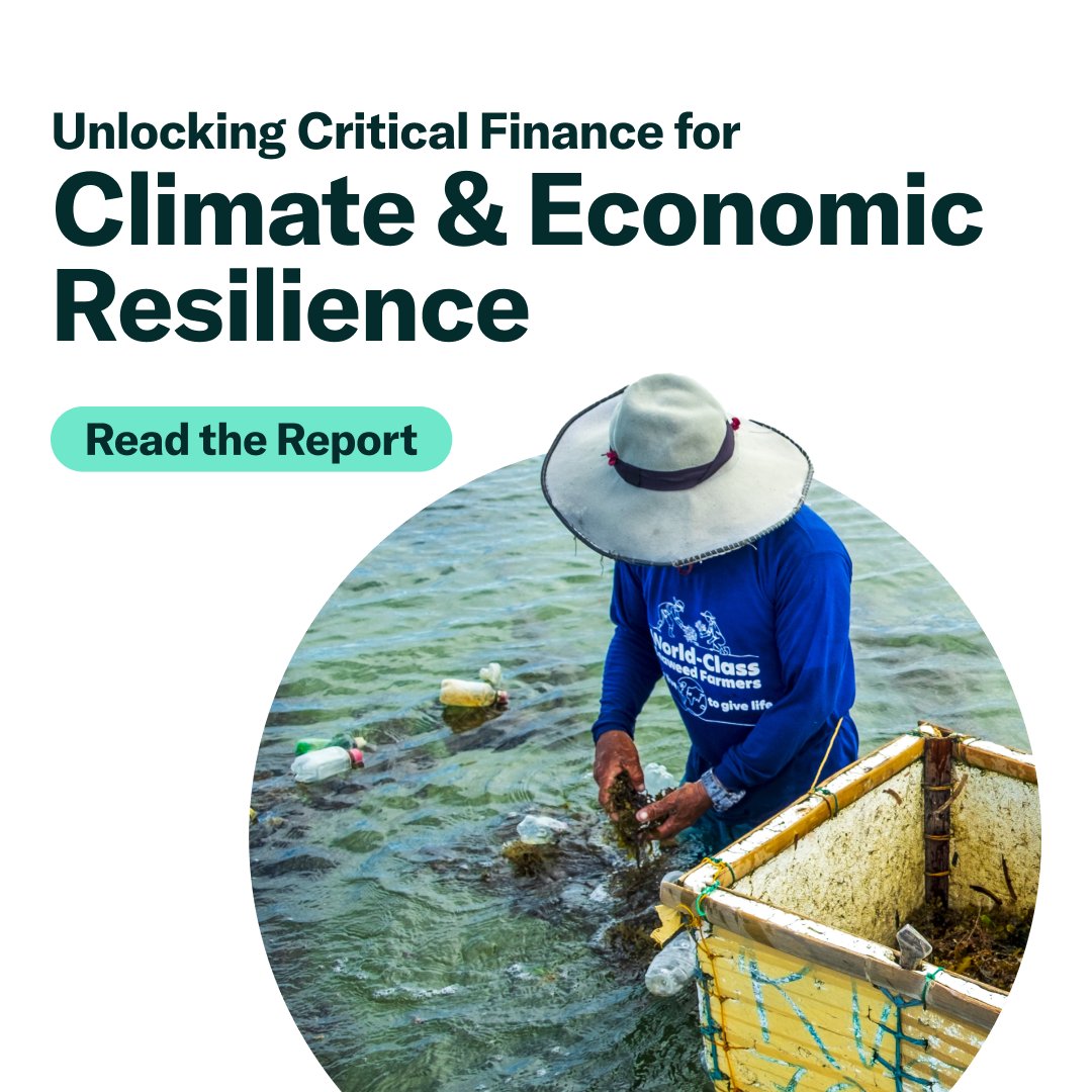 EarthshotPrize's tweet image. Local climate solutions work. But they're critically underfunded.
Our new report, based on insights from Earthshot Prize innovators, shows how the right finance can drive both climate action and fairer economies.
Read: sharedprosperity.earthshotprize.org
@CNTR4growth @CGAP