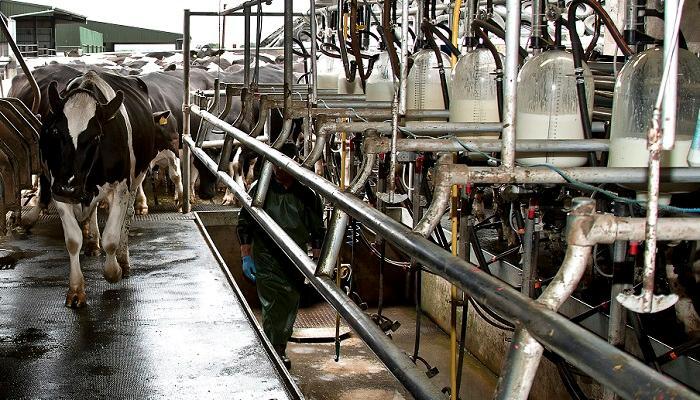 Teagasc (@teagasc) on Twitter photo Starting off on the right foot is very important in terms of attracting and retaining employees, writes <a href="/TeagascDairy/">Teagasc Dairy</a> Specialist, Martina Gormley. The first place to start is knowing your legal requirements as an employer and then ensuring you fulfil them. bit.ly/46GgINP Starting off on the right foot is very important in terms of attracting and retaining employees, writes <a href="/TeagascDairy/">Teagasc Dairy</a> Specialist, Martina Gormley. The first place to start is knowing your legal requirements as an employer and then ensuring you fulfil them. bit.ly/46GgINP