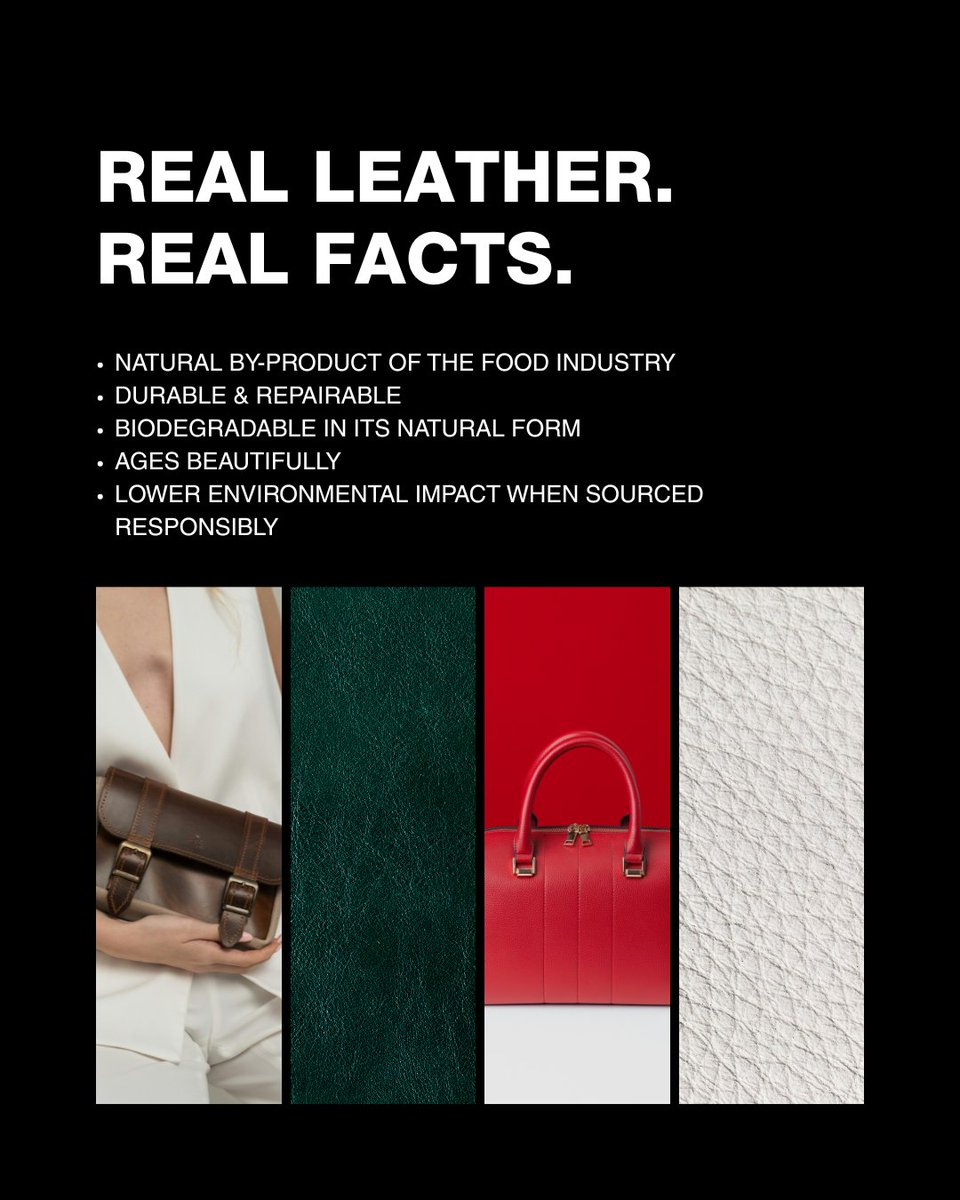 Think green means clean? Think again.

From “eco” claims to “vegan leather” that’s mostly plastic, misleading marketing is everywhere.

Be curious. Read the labels. Ask questions.
Support transparency and timeless design.

#ChooseRealLeather #StayDifferent #Greenwashing