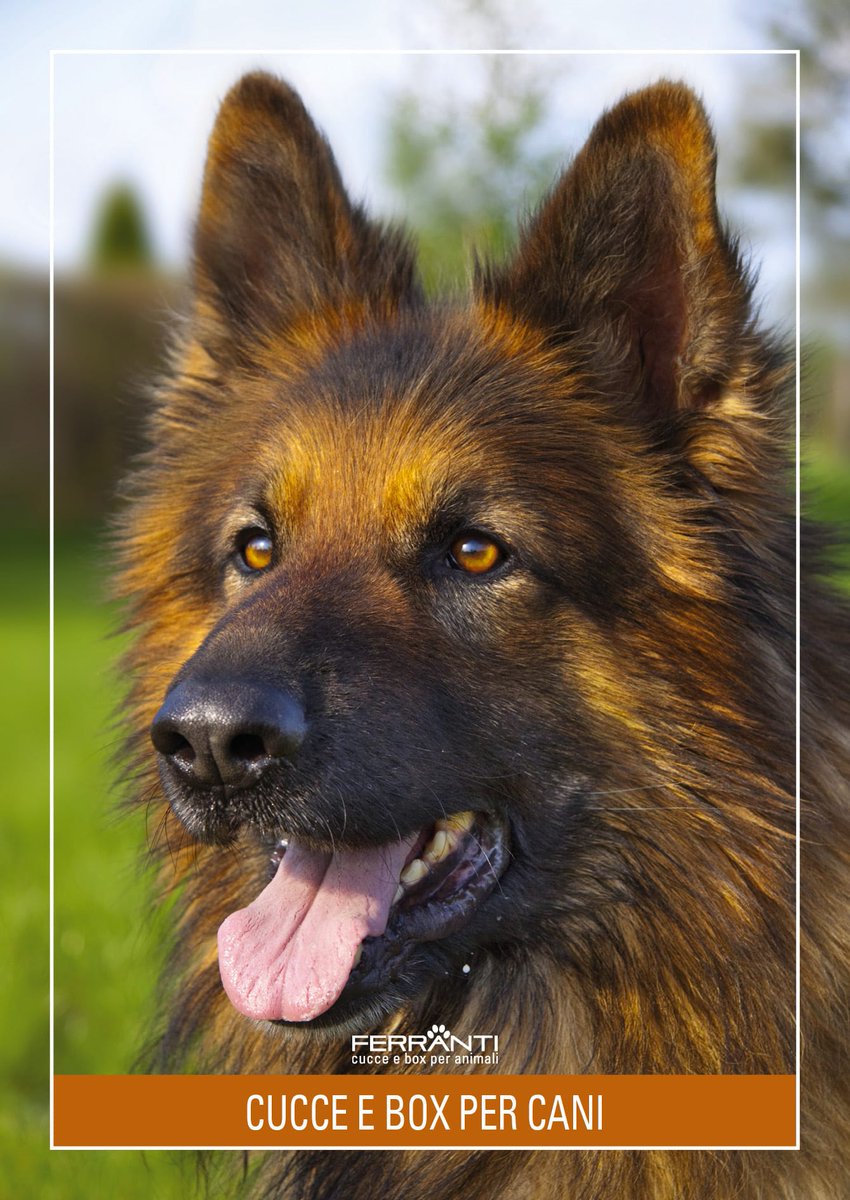 Ferrantinet's tweet image. ferrantinet.com/blog/come-sceg…