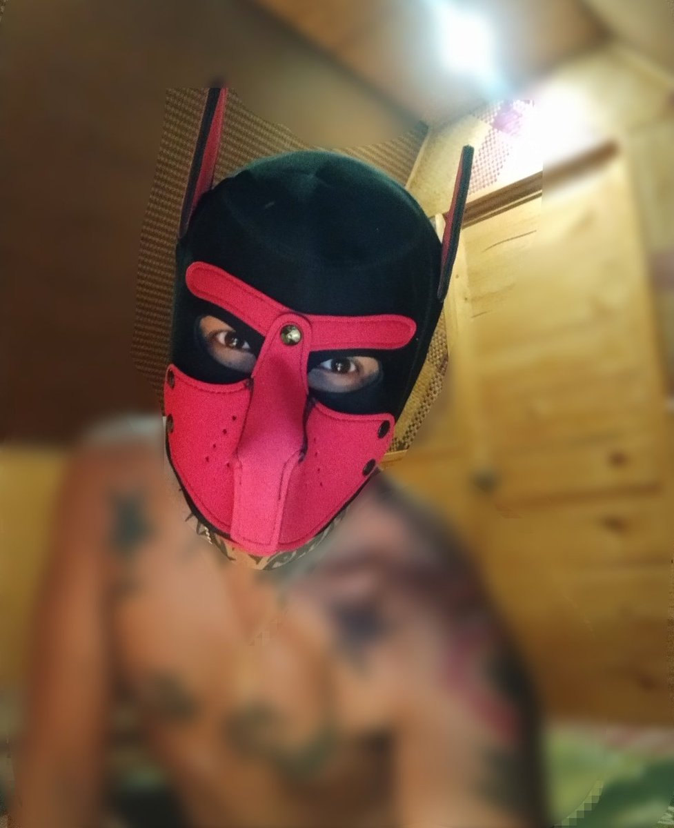 FOR SALE AND ORDERS...

CONTENT CREATOR MASK AVAILABLE ON FRIDAY... ONLY METRO MANILA DELIVERY...

PM IS THE KEY...
TG: t.me/nhot1818_outdo…
ONLY WITH ORDERS AND RESERVATION WILL BE ACCOMODATE...