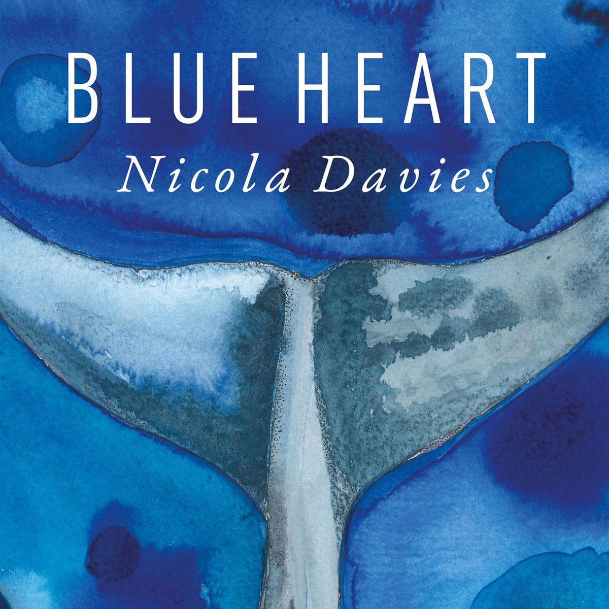 #PoetryTuesday A beautiful hardback book of words and pictures about whales. Davies’ own studies of humpback whales in Canada inspires this collection. Expertly presented in an easy to hold square format by Graffeg. We particularly like, Echolocation on p.27.  Ideal for KS2.
