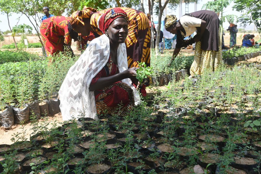 Every step forward is a step toward hope. Let's start the week inspired by the resilience of refugees in Cameroon. 💪🏾 #MondayMotivation #WithRefugees #UNHCRCameroon