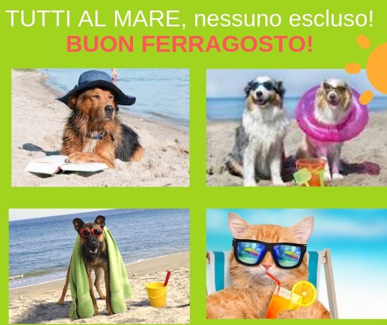 Ferrantinet's tweet image. Buona estate a tutti! ferrantinet.com