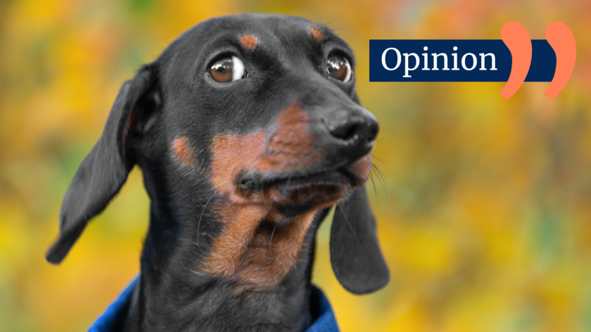 HMRC and AI – what could possibly go wrong? accountingweb.co.uk/community/blog…
#TaxTechnology #AIInFinance #DigitalTaxation #AutomationConcerns #FutureOfAccounting #DataPrivacy #RegulatoryChallenges #AI