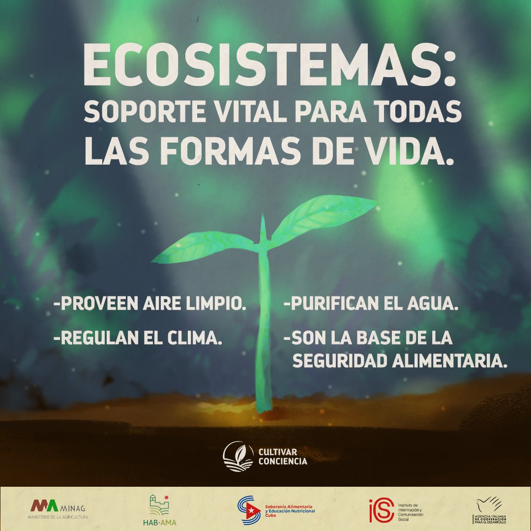 Los ecosistemas son fuentes de biodiversidad, proporcionan servicios como la polinización de cultivos, la regulación del clima y la conservación del suelo.
Proteger y restaurar los ecosistemas es una responsabilidad compartida que asegura un futuro sostenible para todos. 🌱♻️🐝
