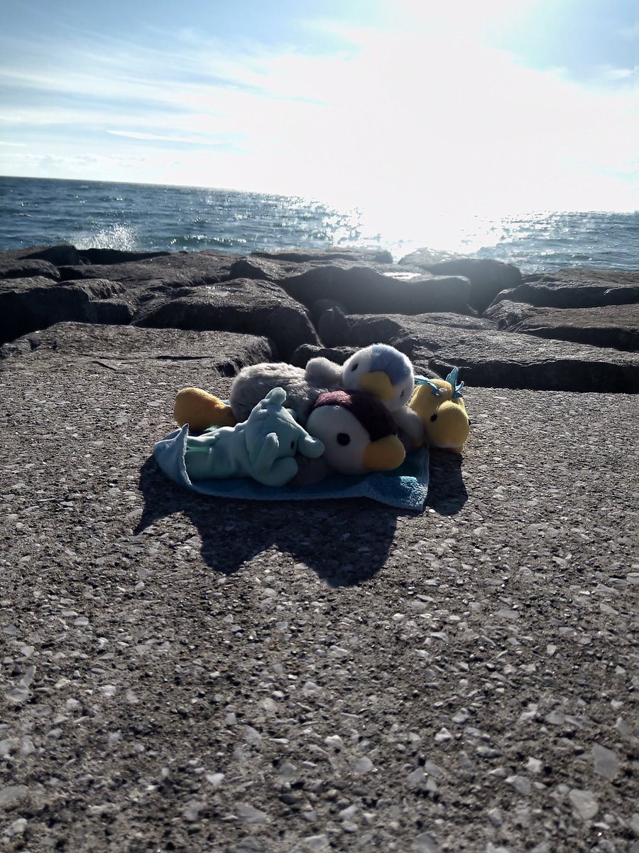 Tapioka_Mijyu's tweet image. 台風直撃だったけど何故か快晴だったから民宿ぱーてぃ
千葉県岩井