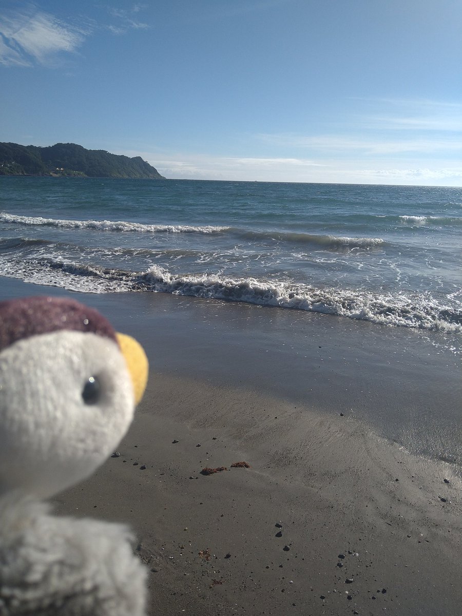 Tapioka_Mijyu's tweet image. 台風直撃だったけど何故か快晴だったから民宿ぱーてぃ
千葉県岩井
