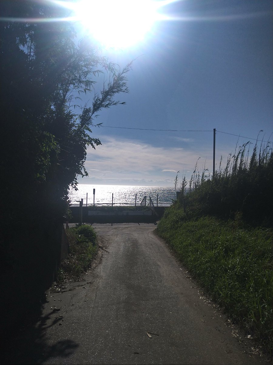 Tapioka_Mijyu's tweet image. 台風直撃だったけど何故か快晴だったから民宿ぱーてぃ
千葉県岩井
