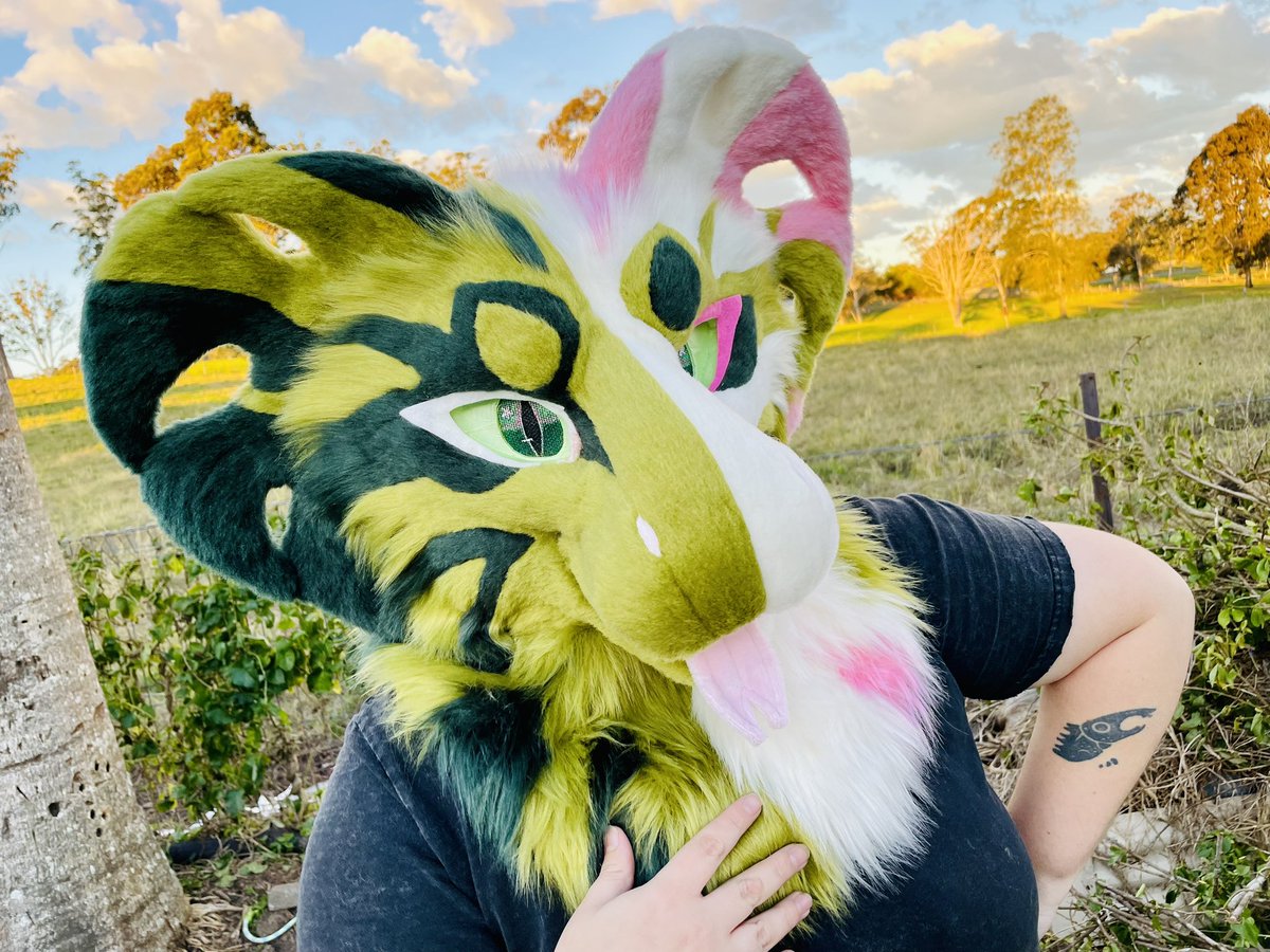 TheUnholyColle1's tweet image. Last few photos from Mona! I genuinely love her so much and can’t wait to see who takes her home!
This monstera cobra will be available at my Aurawra table later this month. She is a fully lined head fitting max 25”.
#furry #fursuit #fursuitmaker