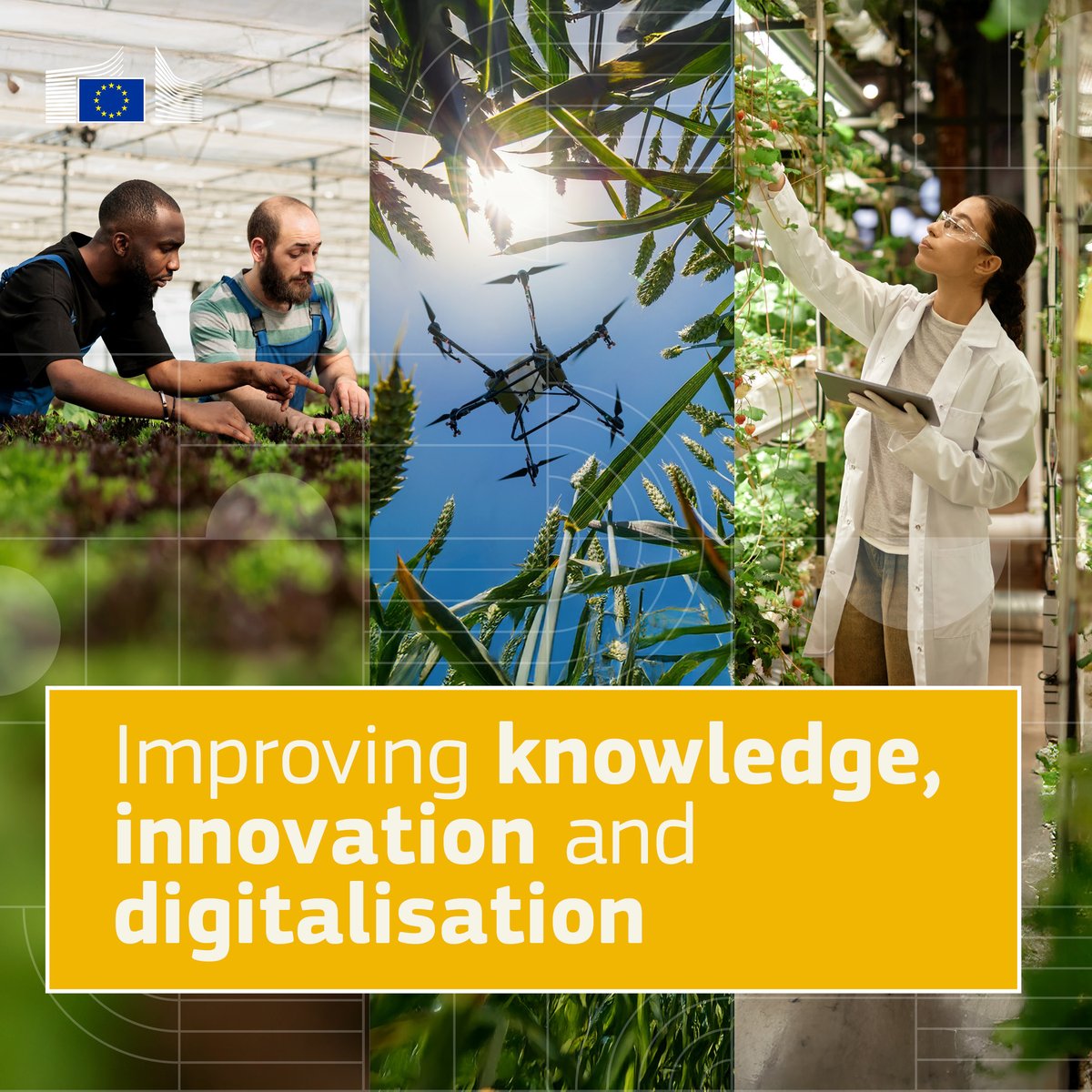 Smart farming for a strong future.

🧑‍🔬 290+ new Operational Groups
🎓 317,000 people joined advice &amp; training
📚 4,000 advisors linked into AKIS
💶 €40M for knowledge sharing
💻 20,000 farms got digital tools

Highlights from 2023-24👉europa.eu/!hg9MX8
#CAPdelivers
