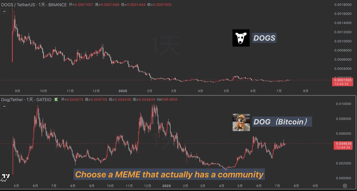 这就是为什么永远不要买CEX推销给你的内幕币，不要购买这些被包装过的垃圾，他们的结局只有归零。选择真正拥有社区的MEME币，选择 $DOG 你永远不需要担心rug，因为 $DOG 由去中心化的社区驱动，他将伴随Bitcoin 永远活跃下去