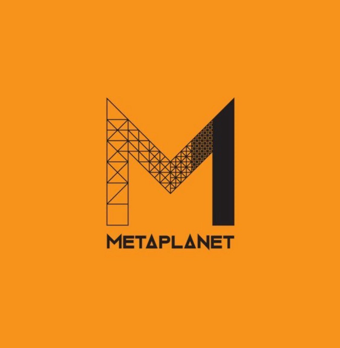 The ₿itcoin Therapist tweet media