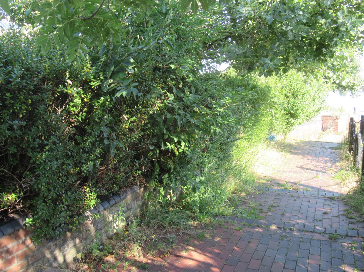 <a href="/KeepBritainTidy/">Keep Britain Tidy</a> <a href="/eportsocial/">Ellesmere Port Social</a>
<a href="/LitterReporting/">Reporting Litter</a> <a href="/ZilchUK/">Leave only a shadow</a>
<a href="/CRTNorthWest/">Canal & River Trust North West</a> <a href="/NWMuseum/">National Waterways Museum</a>
"The Steps". half way up South Pier Road.  Before pics. with after pics in part 2