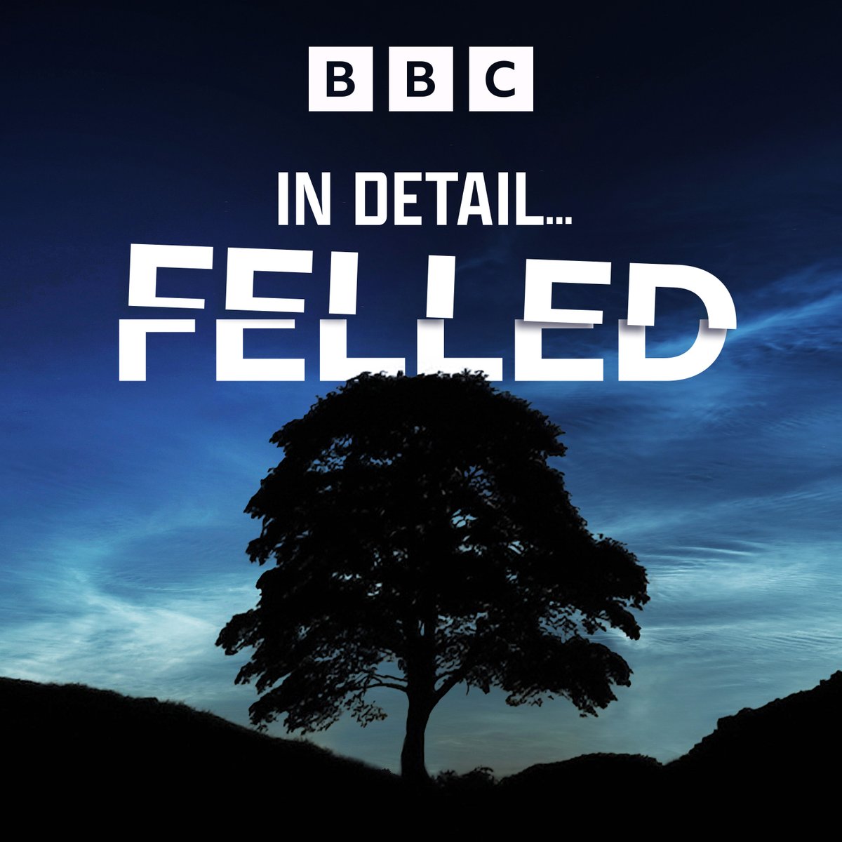The Sycamore Gap tree falls – leaving anger, secrets and wild theories. Follow the story on BBC Sounds: bbc.in/3Iqwy56