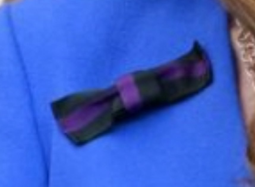 Itchieball's tweet image. Does anyone know the significance of their ribbon #PrincessofWales wears? #RoyalFamily