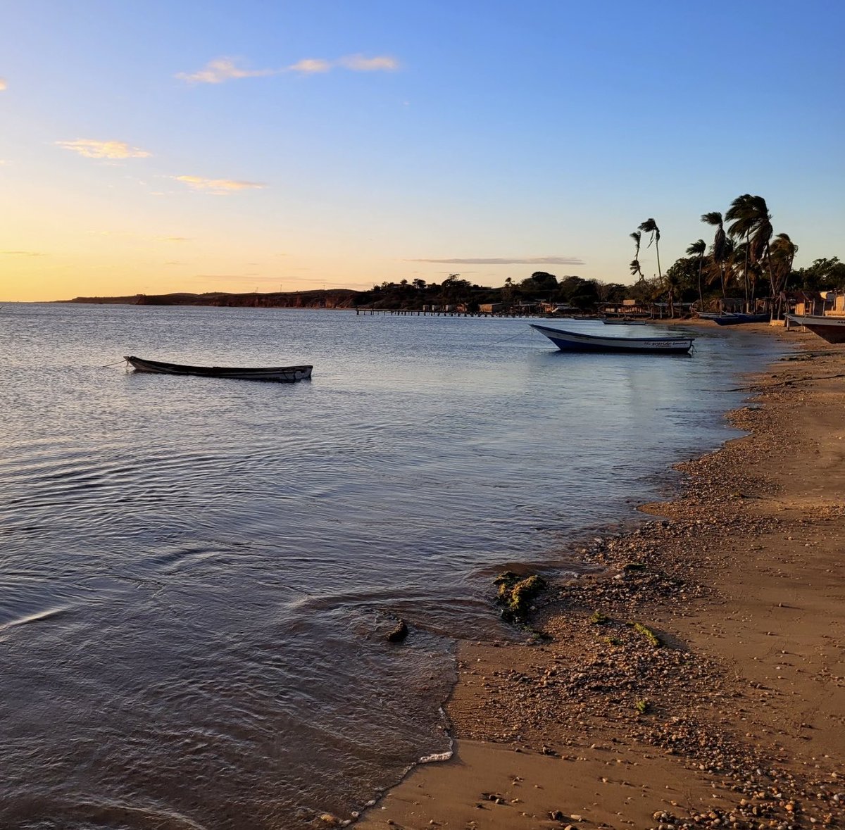 alexcochense's tweet image. Buenos días!
Éxitos para esta nueva semana.
El Bichar isla de #coche #venezuela