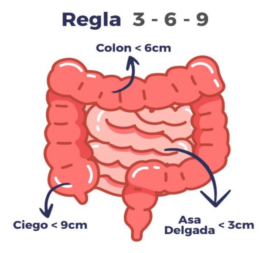 📏 La regla 3-6-9

Sirve para identificar distensión intestinal:
• Intestino delgado: &lt; 3 cm
• Colon: &lt; 6 cm
• Ciego: &lt; 9 cm

🔺 Si superan esos valores ➜ hay dilatación.