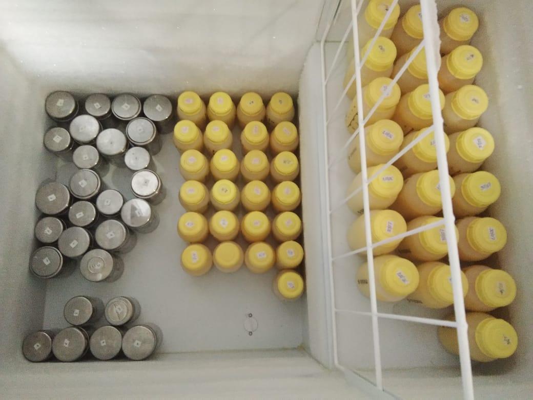 OfficialJipmer's tweet image. 🎉 JIPMER’s Human Milk Bank Amudham Thaipaal Maiyam marks 9 yrs of saving lives! Now collecting 1000ml/day, serving 20+ babies/day.
💖 Thank you, donor moms & NICU heroes!
🍼 Every drop counts.
#JIPMER #HumanMilkBank #BreastMilkDonation #Puducherry
