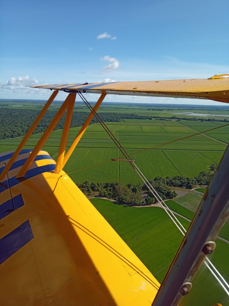 Apostamos a la producción nacional 🇻🇪❤️

Con miras a seguir creciendo en productividad 🌱

#BuenosDías