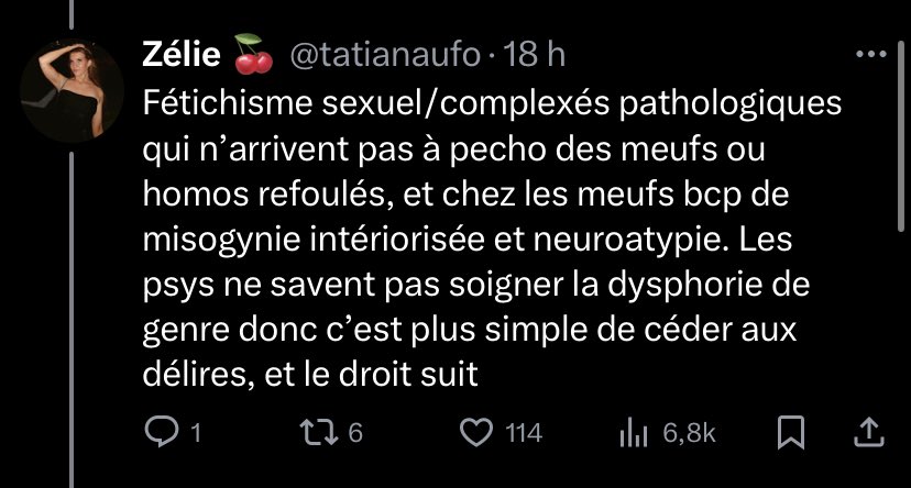 daisukeejigen's tweet image. elle a pris 5 tweets de merde en exemple pour en faire une généralité et justifier sa transphobie, c’est la débile en chef