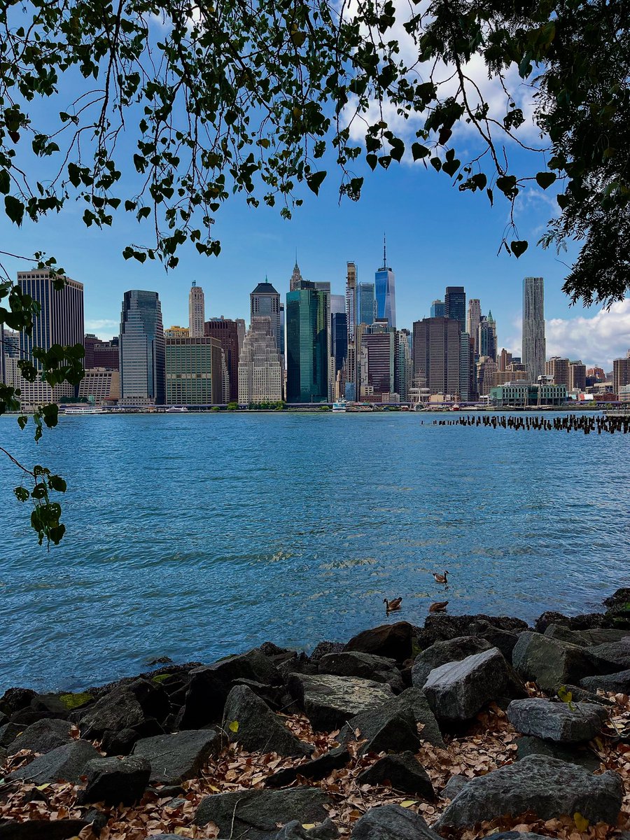 Manhattan depuis Squibb Park à Brooklyn 🇺🇸