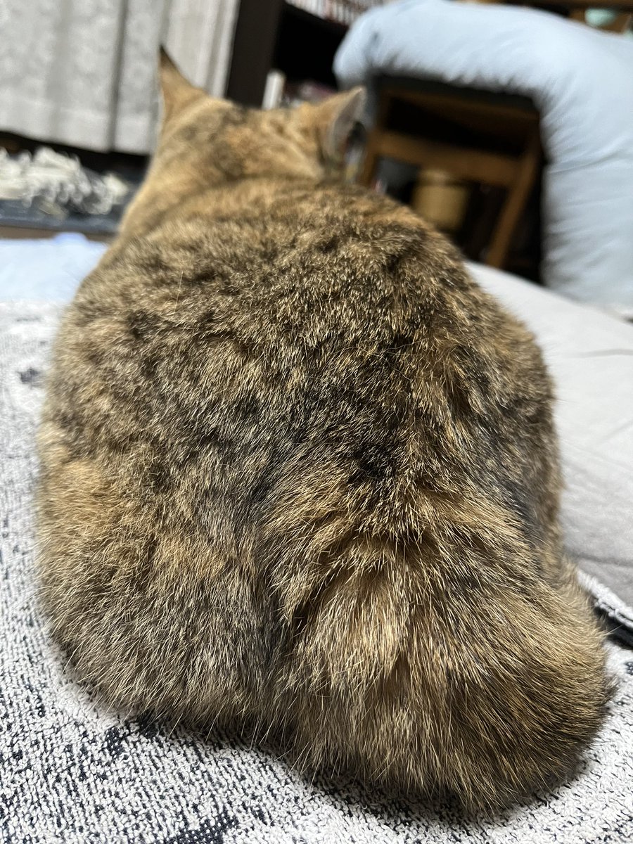 今日も頑張った。
おやすみ
また明日