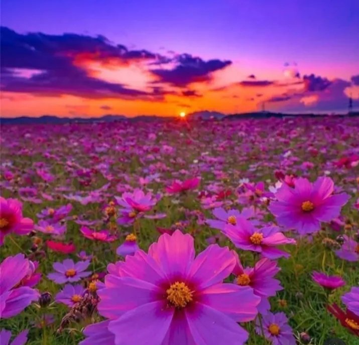 Hüzün dünyanın en dokunaklı şarkısıdır.