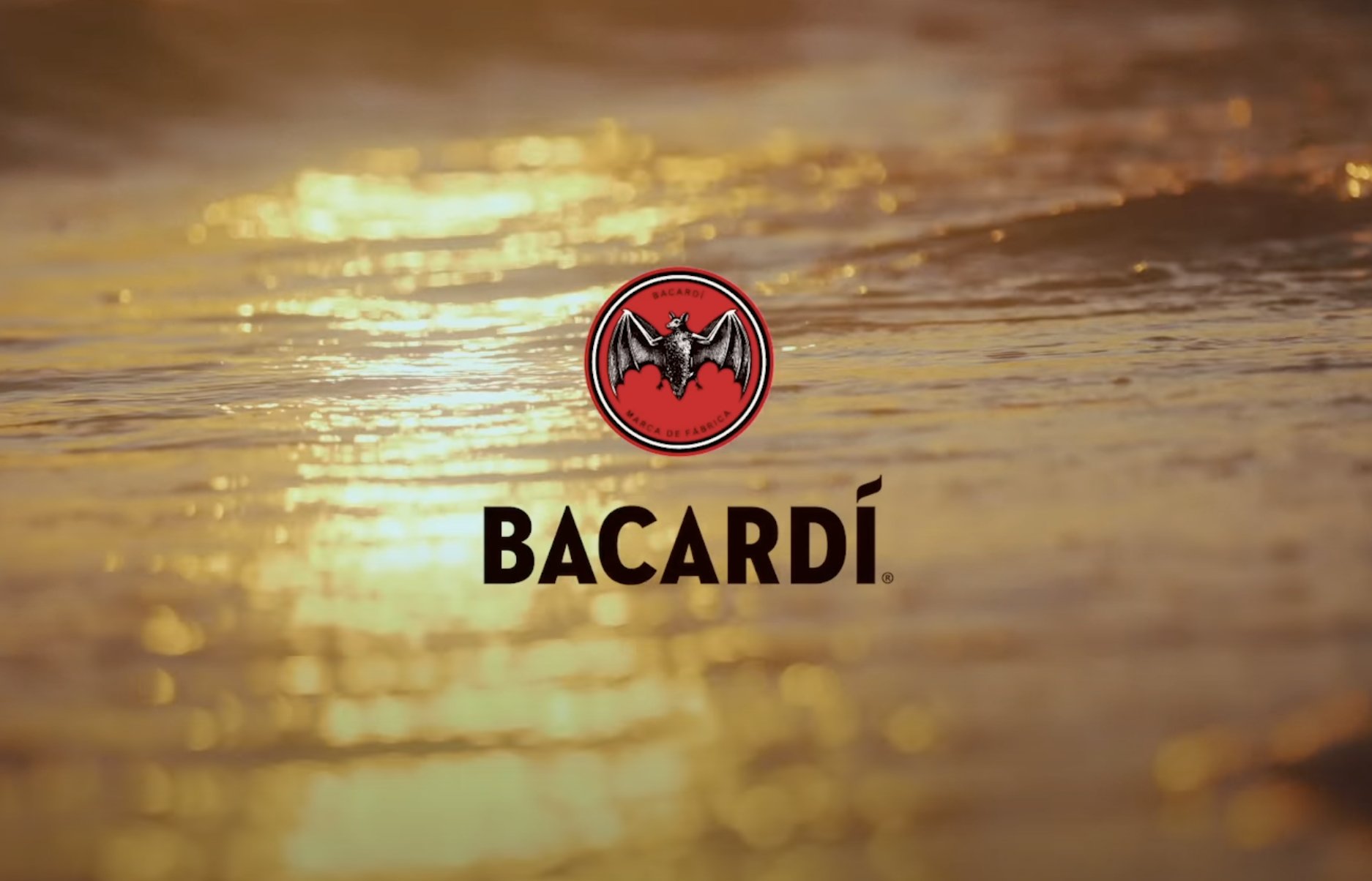 【非売品　新品未開封品】Bacardi　バカルディ　ロゴ入り限定パナマハット 非売品 新品未開封品】Bacardi バカルディ ロゴ入り限定パナマ