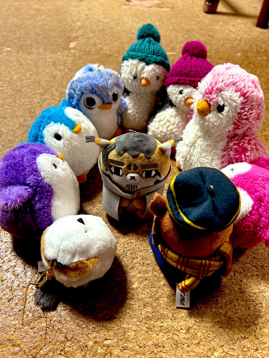 kure_mathuhoshi's tweet image. 本日ついにフォゼ尾さんが仲間入りしまして😊
らっしゃっせーい！！鹿児島県からお越しです！ようこそ！
