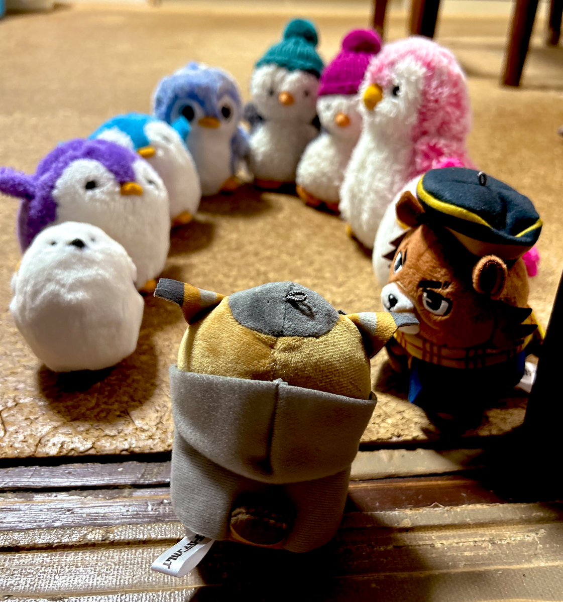 kure_mathuhoshi's tweet image. 本日ついにフォゼ尾さんが仲間入りしまして😊
らっしゃっせーい！！鹿児島県からお越しです！ようこそ！