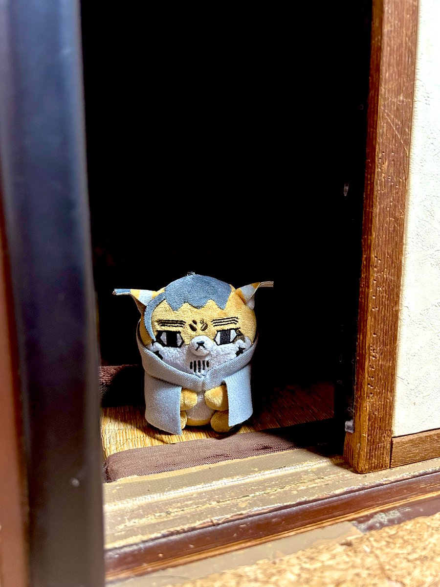 kure_mathuhoshi's tweet image. 本日ついにフォゼ尾さんが仲間入りしまして😊
らっしゃっせーい！！鹿児島県からお越しです！ようこそ！