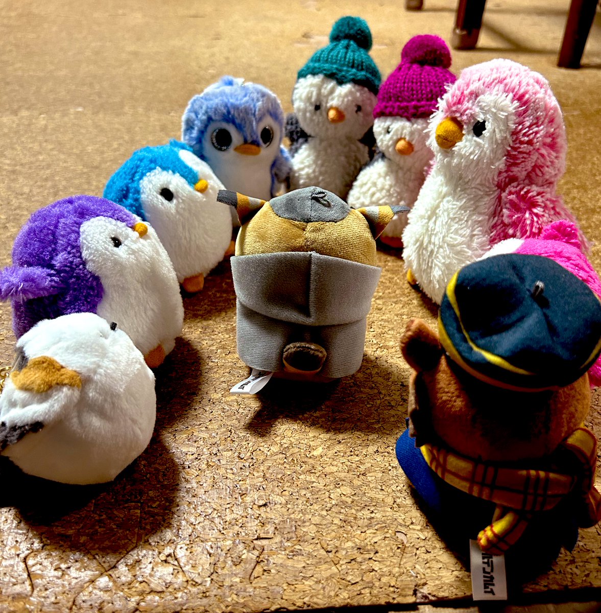 kure_mathuhoshi's tweet image. 本日ついにフォゼ尾さんが仲間入りしまして😊
らっしゃっせーい！！鹿児島県からお越しです！ようこそ！