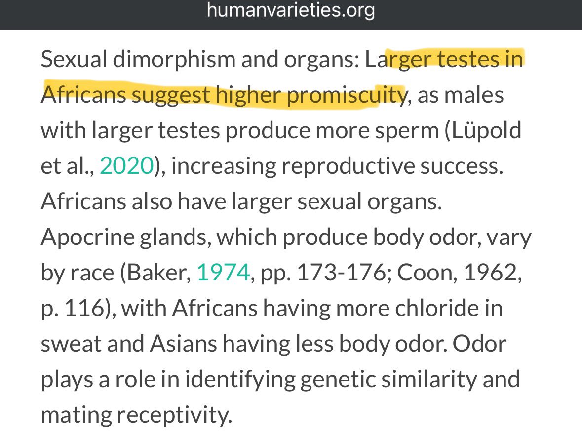 alephile's tweet image. It’s now proven in Science why Yoruba men cheat:
“Larger testes in Africans suggest higher promiscuity, as males with larger testes produce more sperm”