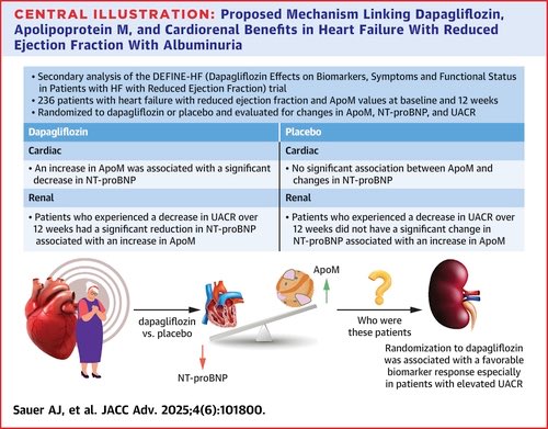 Dapagliflozin's Association With Cardiorenal Outcomes and Apolipoprotein M Levels in HFrEF Patients: Insights From DEFINE-HF

Dapagliflozin did not significantly alter ApoM overall; however, an inverse association between ApoM and NT-proBNP was observed in dapagliflozin-treated