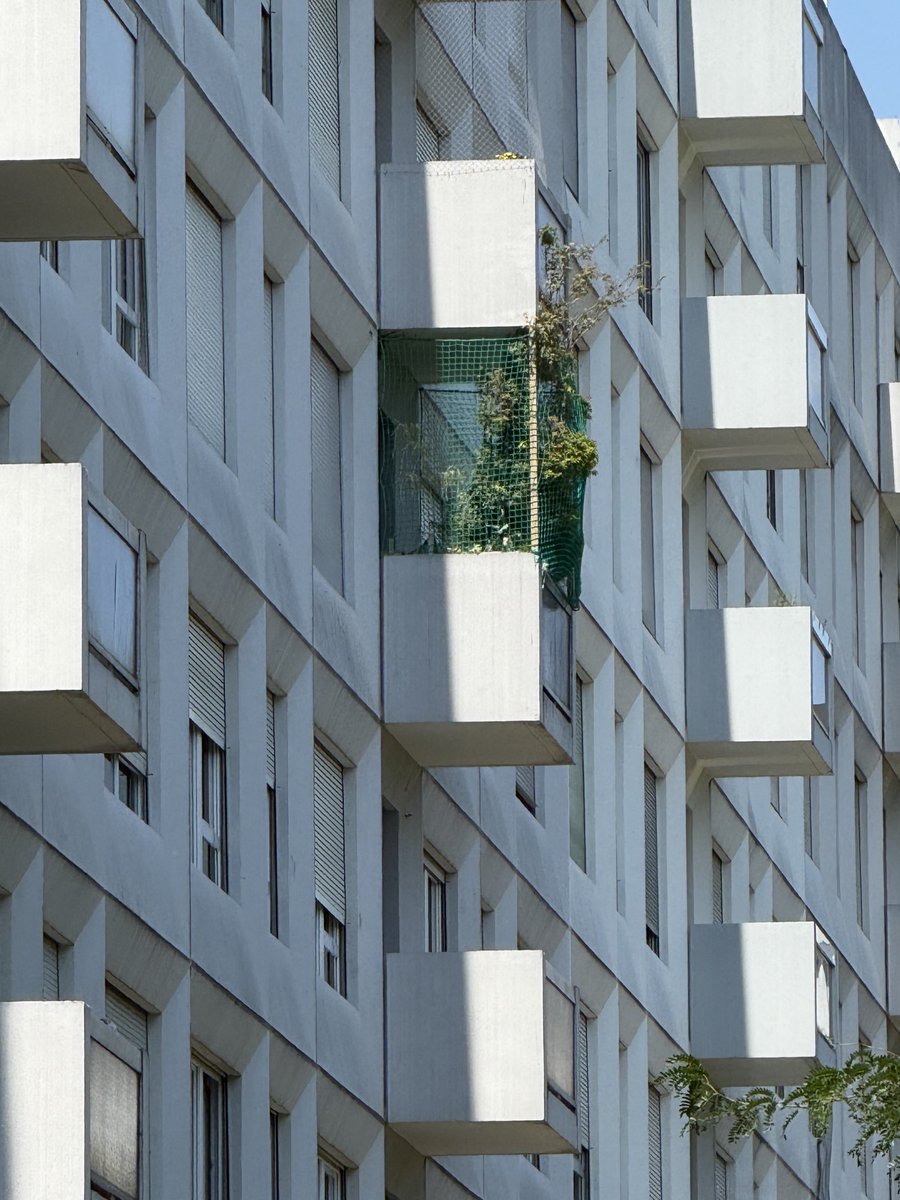Contre la Tristesse du beton.