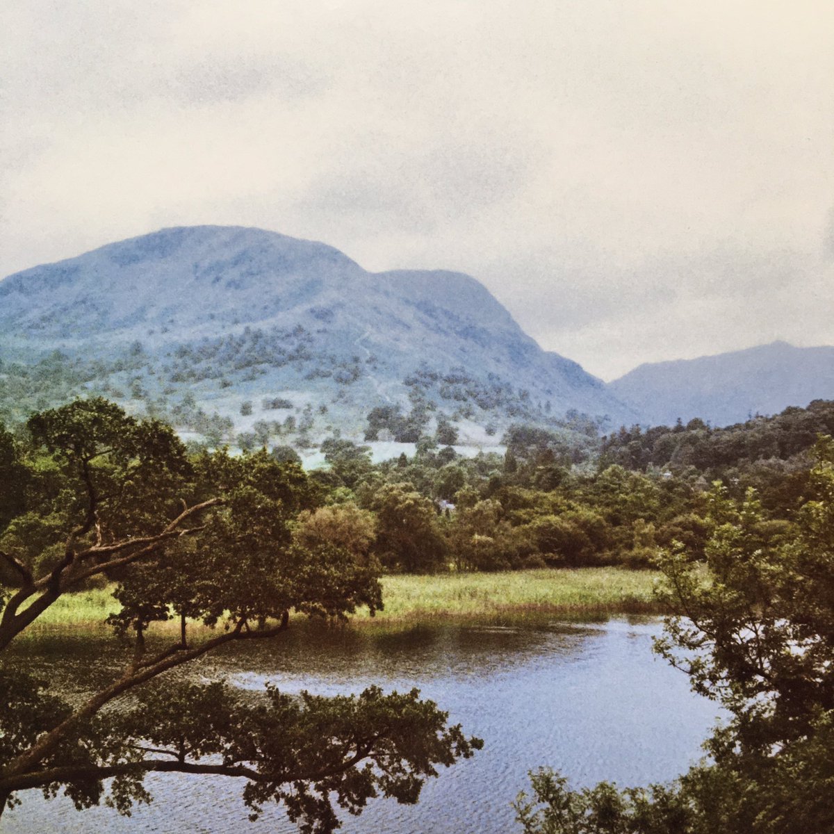 Carl/The Farm (@thefarm_carl) on Twitter photo Found some old 35mm photos from a time when the world looked like a Bob Ross painting. <a href="/frankcottrell_b/">Frank Cottrell-Boyce</a> Found some old 35mm photos from a time when the world looked like a Bob Ross painting. <a href="/frankcottrell_b/">Frank Cottrell-Boyce</a>
