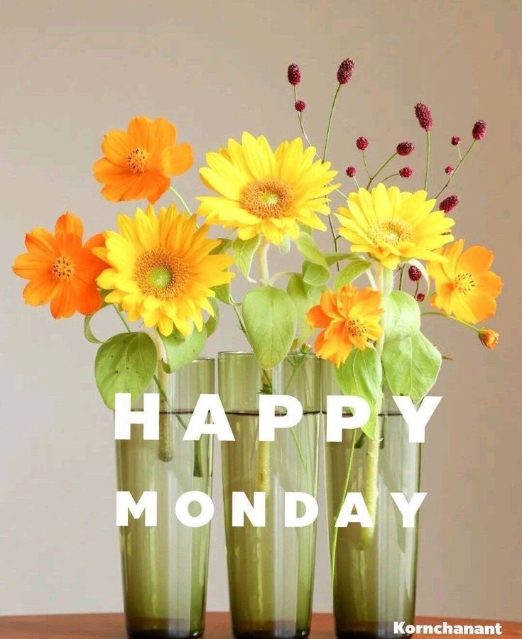 <a href="/Chrissyhowell16/">Chrissyhowell🌸⚘🌺⚘</a>