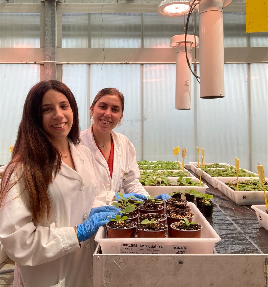 CRAG (@cragenomica) on Twitter photo La setmana passada va finalitzar l’estada de l’alumna Clàudia Vázquez al nostre centre 🧪🌱
Durant un mes, ha format part del CRAG dins la fase 2 del programa "Joves i Ciència" de <a href="/FCLP_Fundacio/">Fundació Catalunya La Pedrera</a>, una iniciativa per inspirar vocacions científiques.
Molta sort, Clàudia! ✨🚀 La setmana passada va finalitzar l’estada de l’alumna Clàudia Vázquez al nostre centre 🧪🌱
Durant un mes, ha format part del CRAG dins la fase 2 del programa "Joves i Ciència" de <a href="/FCLP_Fundacio/">Fundació Catalunya La Pedrera</a>, una iniciativa per inspirar vocacions científiques.
Molta sort, Clàudia! ✨🚀