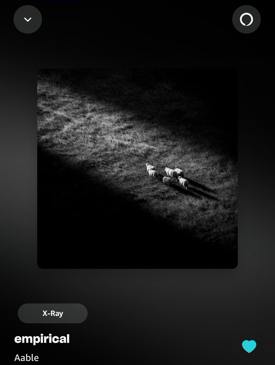 🔥 🔥 🔥 🔥