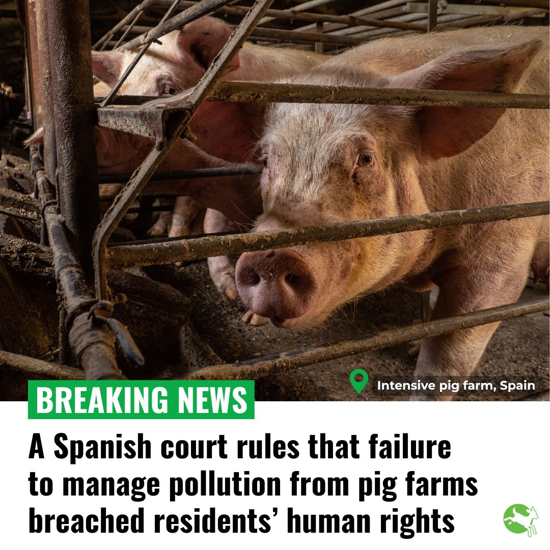 Factory farming is bad for us, bad for animals, and bad for the planet. It's time to take action to #EndIt.