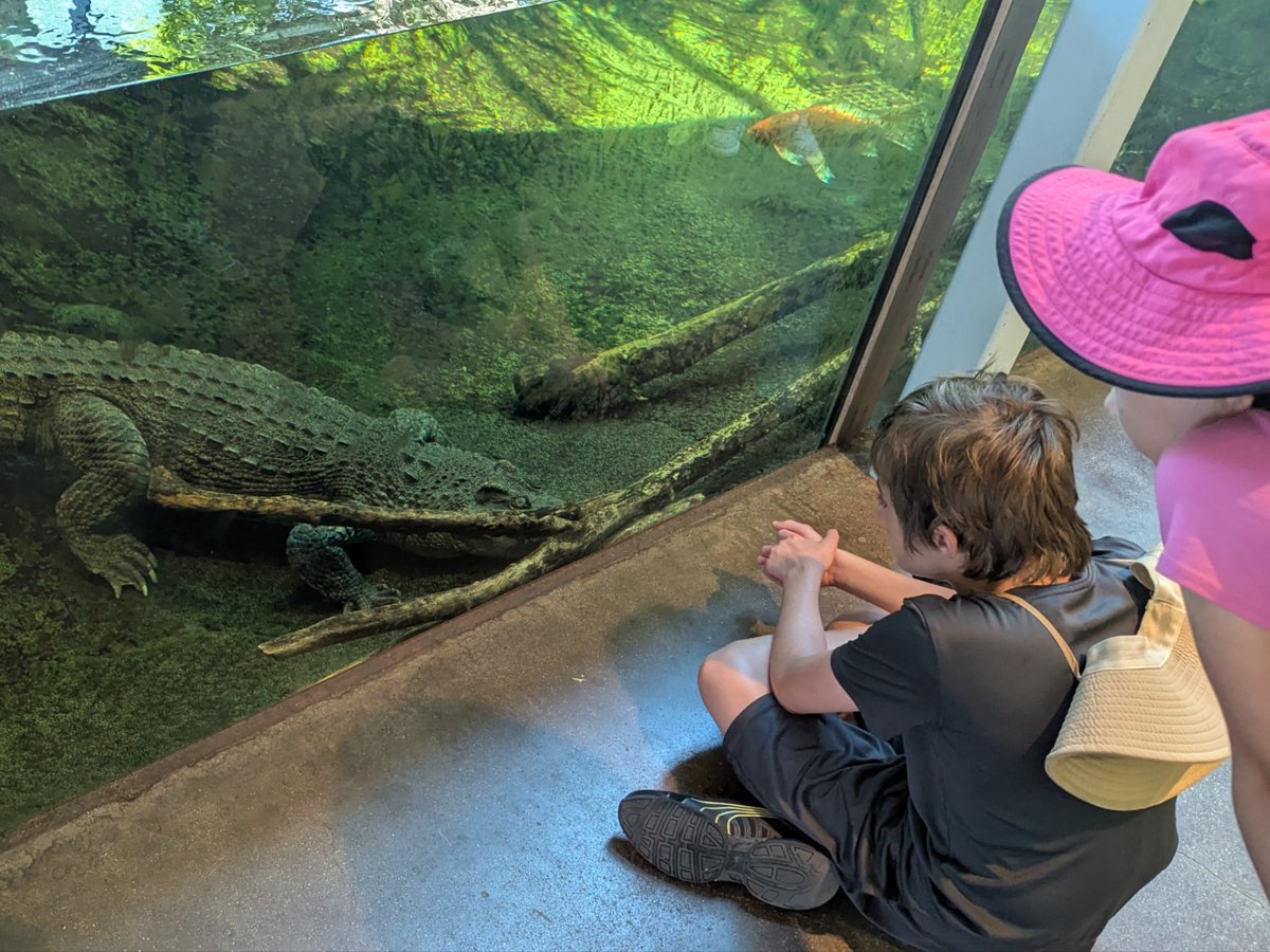 WRLibrary's tweet image. Explore Virginia's top museums & attractions! 🎉 Enjoy free admission to the Virginia Zoo, Science Museum of Virginia & more! It's 100% digital—download tickets on the same day! Check availability at libcal.wrl.org/passes. #ExploreVirginia #FamilyFun