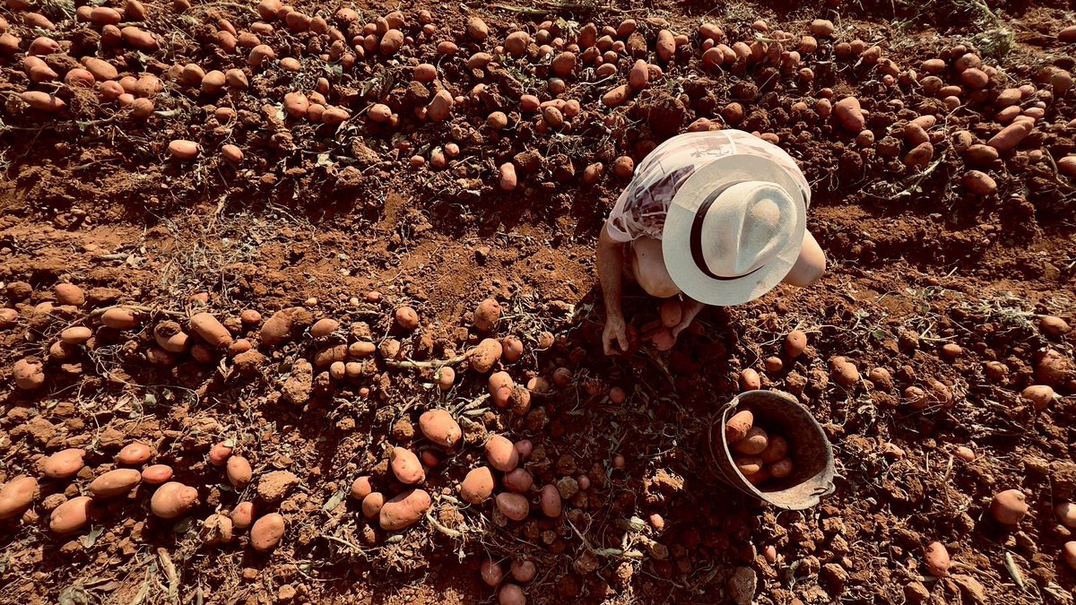 Rte es ventall tweet media