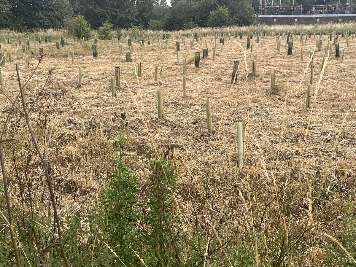 Tree Planting Fuckwits
Council &amp; Wildlife Trust

What The Actual Flying Fuck is this Abortion supposed to be ??

What a frickin shit show 🙄