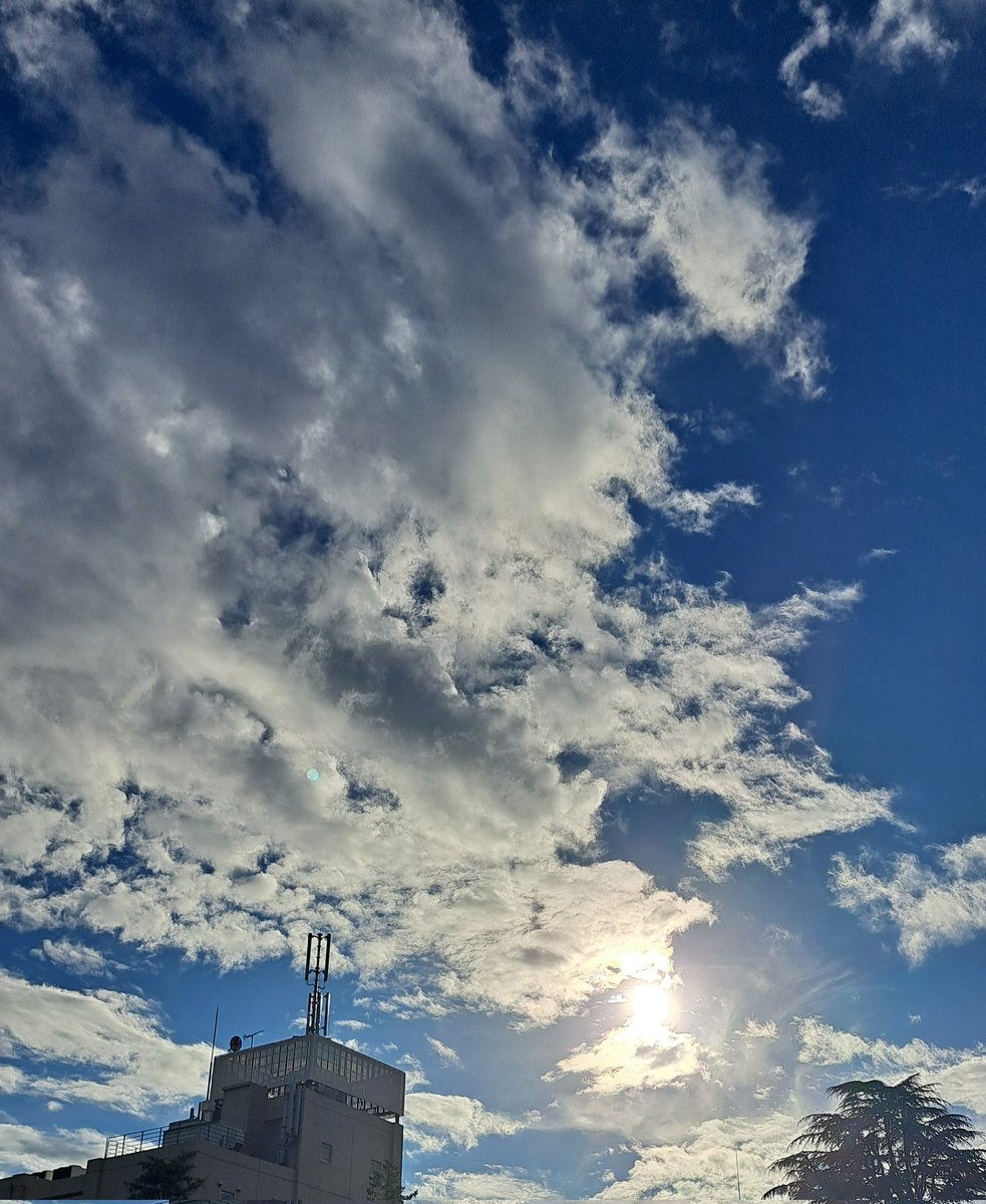 iimura_okome187's tweet image. 今日は夕方晴れたね😃

#晴れ

#おこめ丸