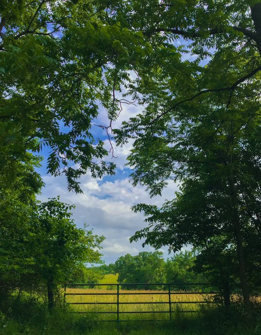 Iowa USA photographer Everett Bartels