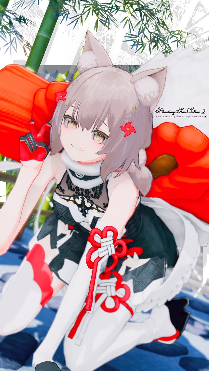 ✌
#PSO2NGS_SS #アニマティカフェイス